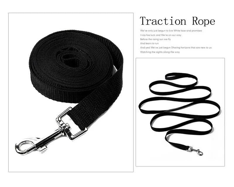 Longer Pet Leashes Rope Outdoor Training Running Dog Leash Belt PP Dogs Lead for Chihuahua Small and Large Dog Product
