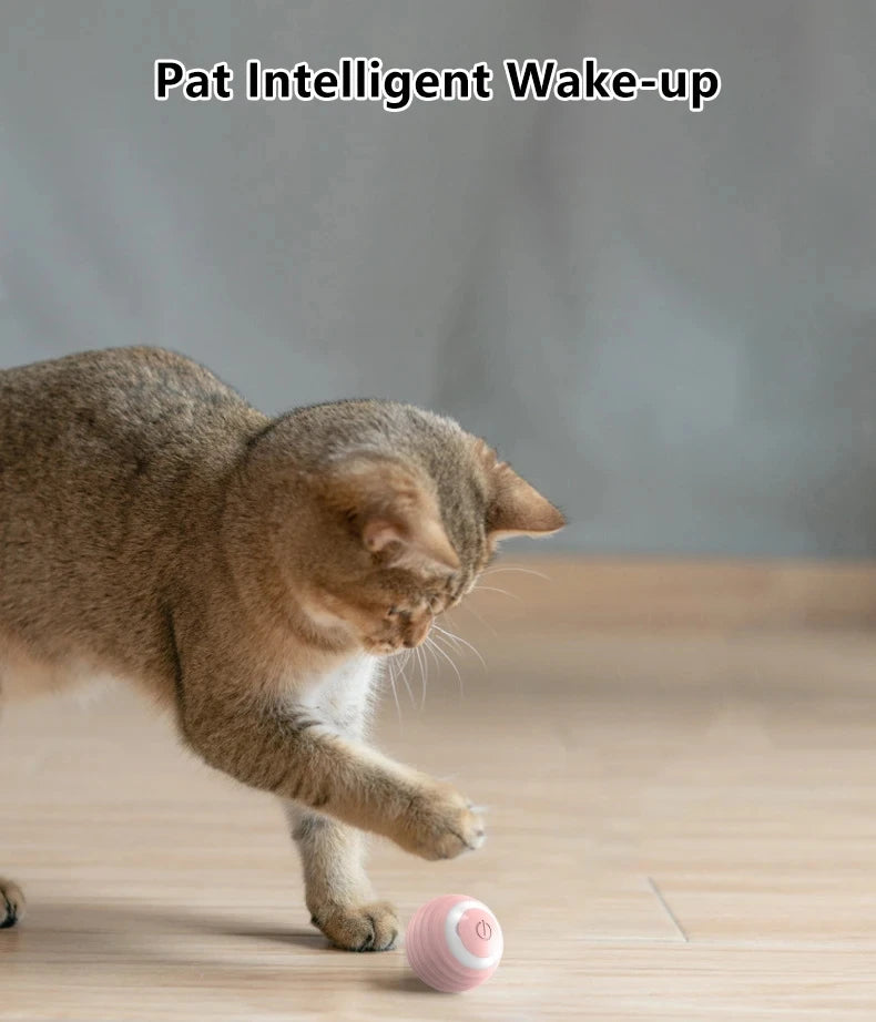 Power Ball Cat Toy, Interactive Cat Smart Ball Toy, Automatic Power Rolling Ball, Indoor Smart Pet Toy Ball with USB Charging