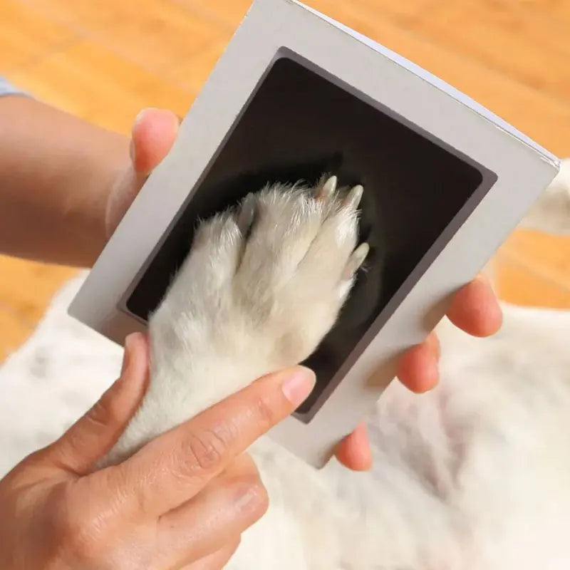 Cat Dog Paw Print Clean Touch Ink Pad Easy DIY Handprint Footprints Ink Pads Pet Dogs Cats Paw Nose Prints Souvenir Gifts