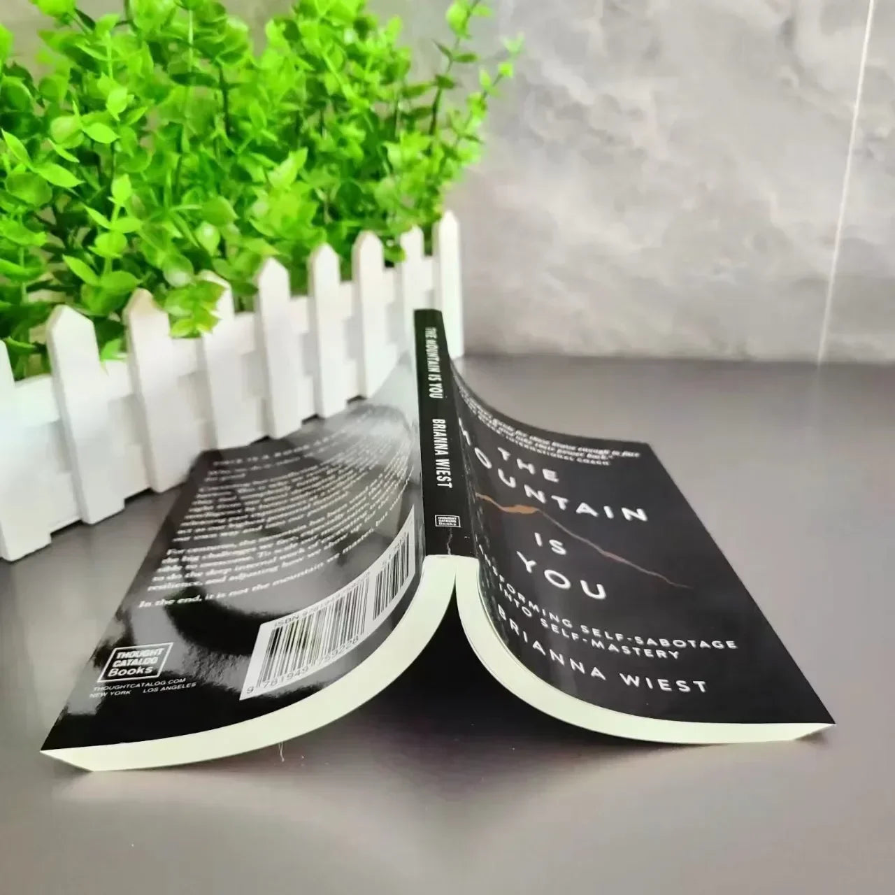 The Mountain Is You: Transforming Self-Sabotage Into Self-mastery English Books Birthday Gifts