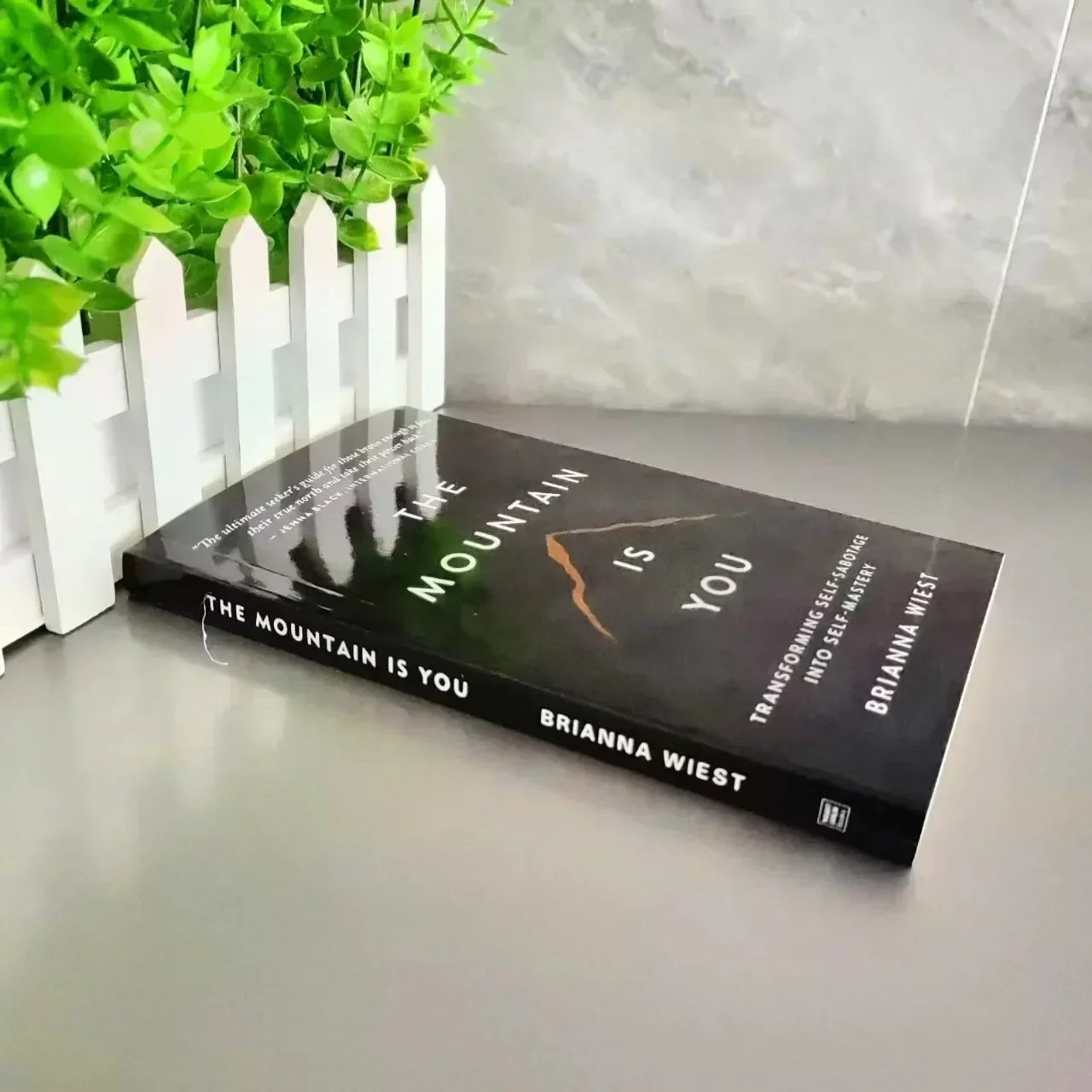 The Mountain Is You: Transforming Self-Sabotage Into Self-mastery English Books Birthday Gifts